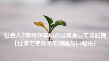 社会人2年目が辛いのは成長してる証拠【仕事できなくて問題ない理由】